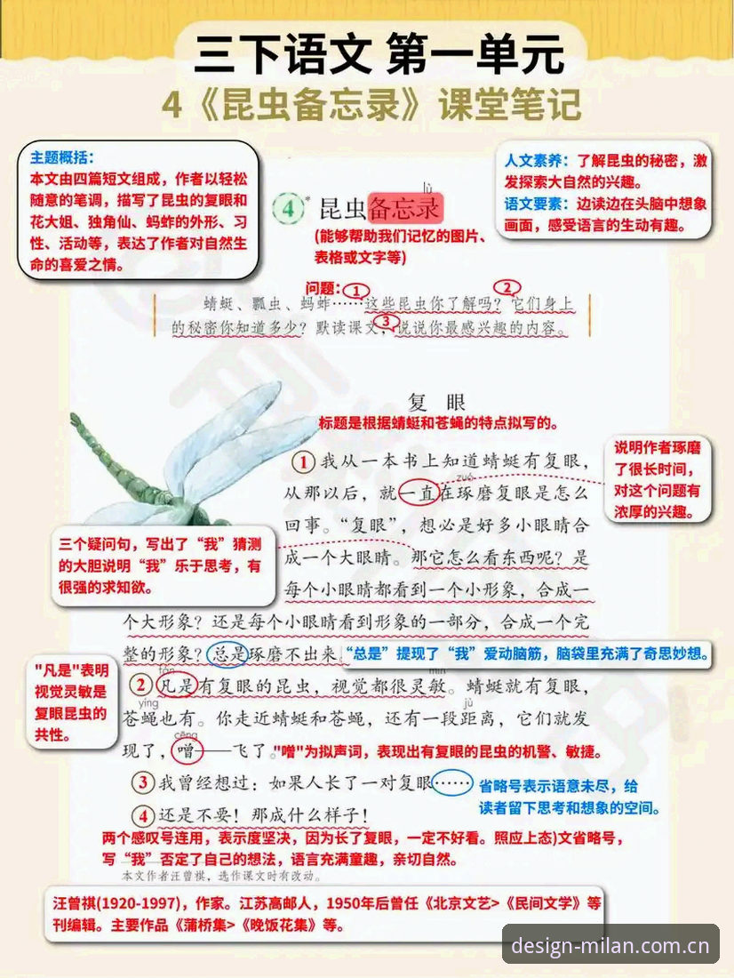 一个点球和一只蝴蝶：解读皮奥成长记的实用必备知识